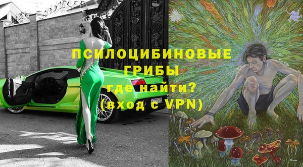 стаф Балахна