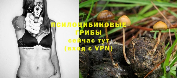 MESCALINE Аркадак
