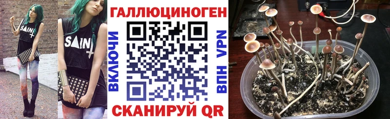 Галлюциногенные грибы мухоморы  Купить  Нурлат 